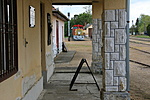 IMG_5287