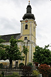 IMG_5343