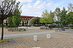 IMG_5400