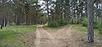 20210501_122708.jpg