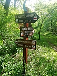 IMG_20210530_094404