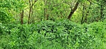 IMG_20210522_114444