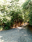 IMG_20210526_101617