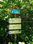 IMG_20210526_131253