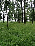 IMG_20210605_153434