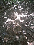 IMG_20210626_121713