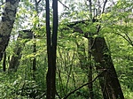 IMG_20210612_151534