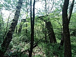IMG_20210612_151538