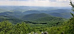 20210605_125704.jpg