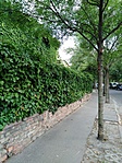 IMG_20210621_161252