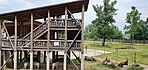 IMG_20210605_124914