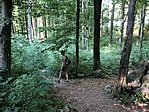 IMG_2234