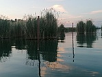 IMG_20210610_203624