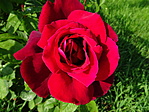 DSC04875