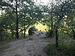 IMG_20210625_075242926