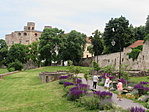 IMG_3997