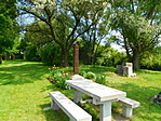 DSCN4725