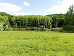 IMG_20210603_160618
