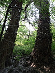 IMG_20210621_163836