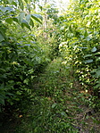 IMG_20210621_164507