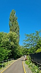 2021-06-05 09.25.26R