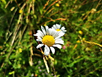 kép07