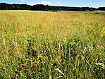 kép04