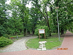 DSC06711