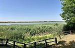 IMG_1254