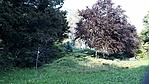 Villányi útról