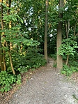 IMG_4093