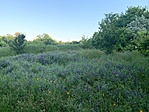 IMG_4094