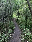 IMG_4095