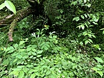 IMG_4098