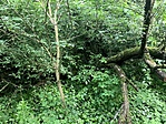 IMG_4099
