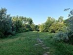 IMG_4100