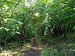 IMG_20210611_172410