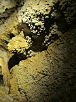 IMG_4271