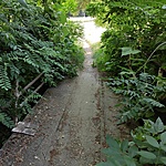IMG_20210628_174743