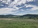 IMG_5341