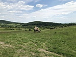 IMG_5354