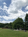 IMG_5357