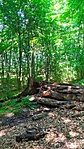 IMG_20210613_154451