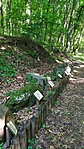 IMG_20210613_160819