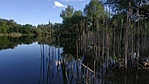 IMG_20210615_182309