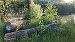 IMG_20210615_182706