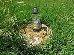 IMG_20210530_140037