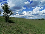 IMG_20210530_141308