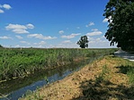 IMG_20210606_124440
