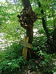 IMG_20210626_114448